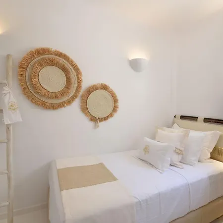 Villa Executive Paros 5 Bedrooms Beachfront Supreme Beachfront Sea *