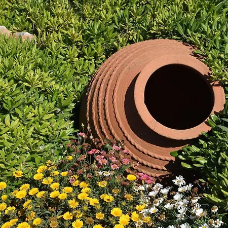 Executive Paros 5 Bedrooms Beachfront Supreme Beachfront Sea Villa Ampelas